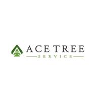 Ace Tree Service image 1